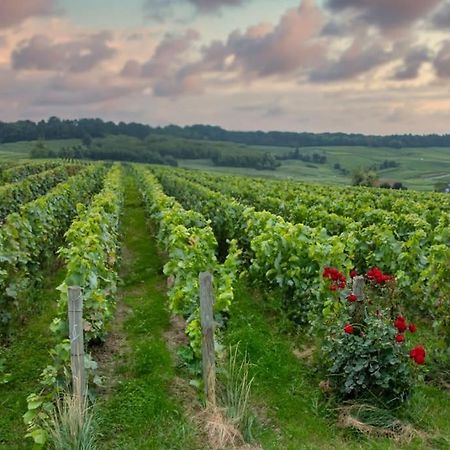 Maison De Champagne F.Barbier ! Avize Luaran gambar