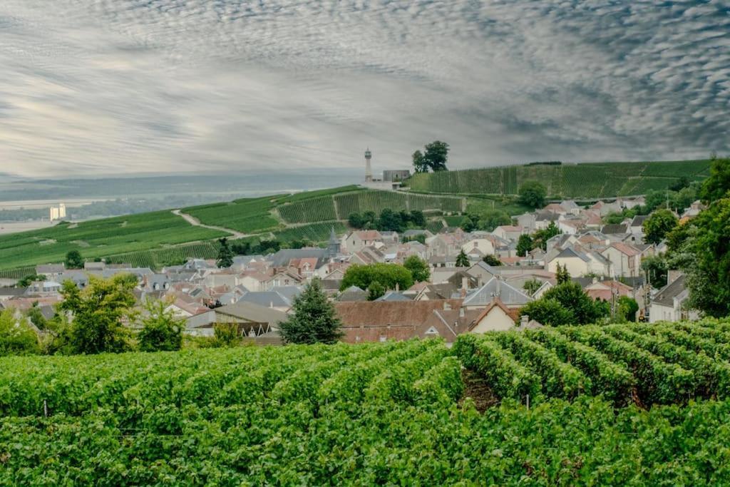 Maison De Champagne F.Barbier ! Avize Luaran gambar